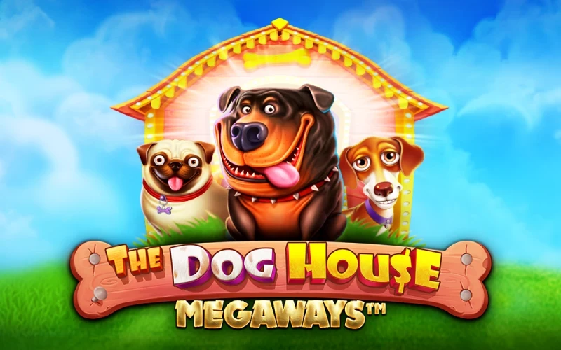 Consigue tiradas gratis en The Dog House Megaways en 1win.
